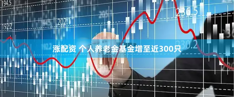 涨配资 个人养老金基金增至近300只