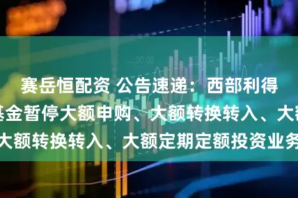 赛岳恒配资 公告速递：西部利得消费精选混合基金暂停大额申购、大额转换转入、大额定期定额投资业务