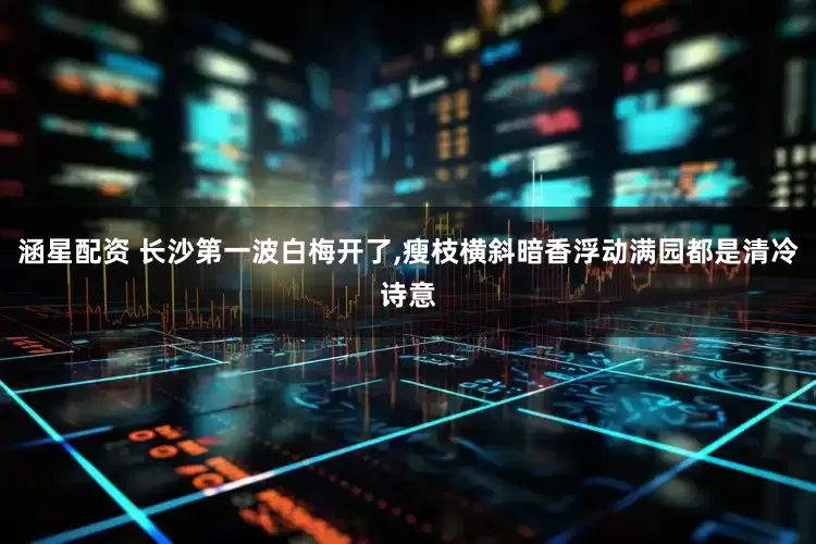 涵星配资 长沙第一波白梅开了,瘦枝横斜暗香浮动满园都是清冷诗意